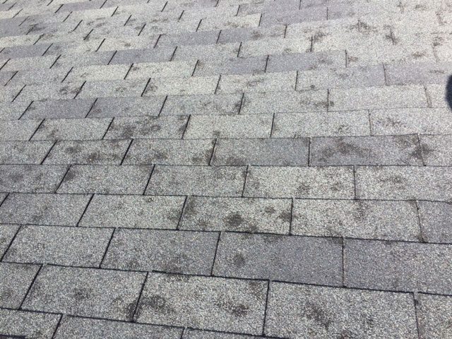 Midwest hail damage dented shingle field - Milwaukee WI