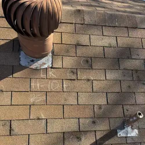 Midwest hail damage granule loss macro detail - Chicago roof