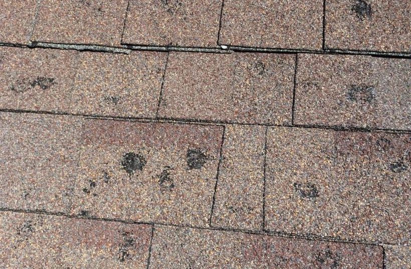 Midwest hail damage weathered shingle surface - John Beal Roofing crew documentation